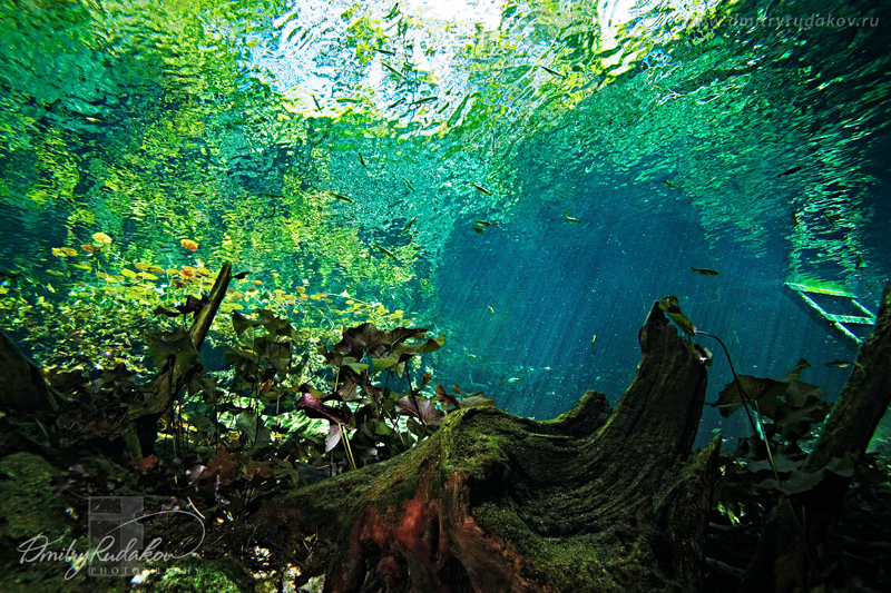 Underwater Fields